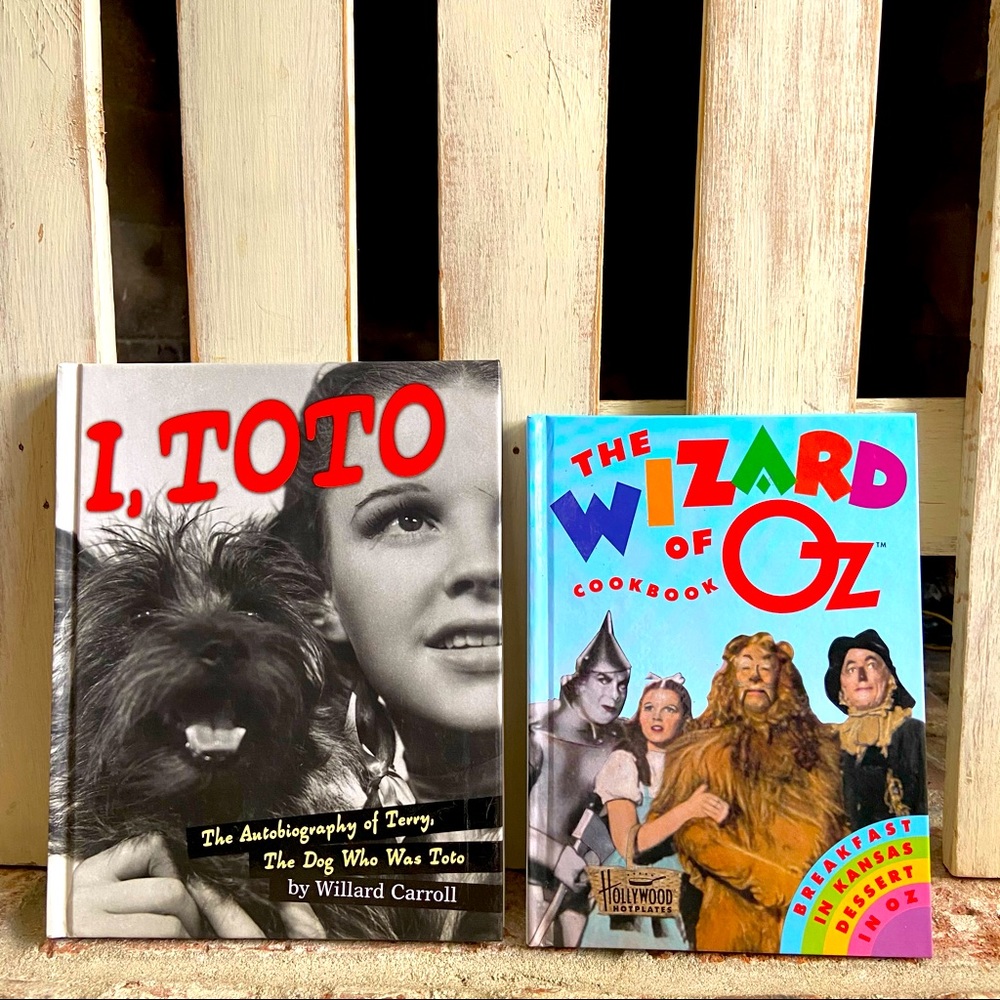 Wizard of Oz themed book bundle of 2